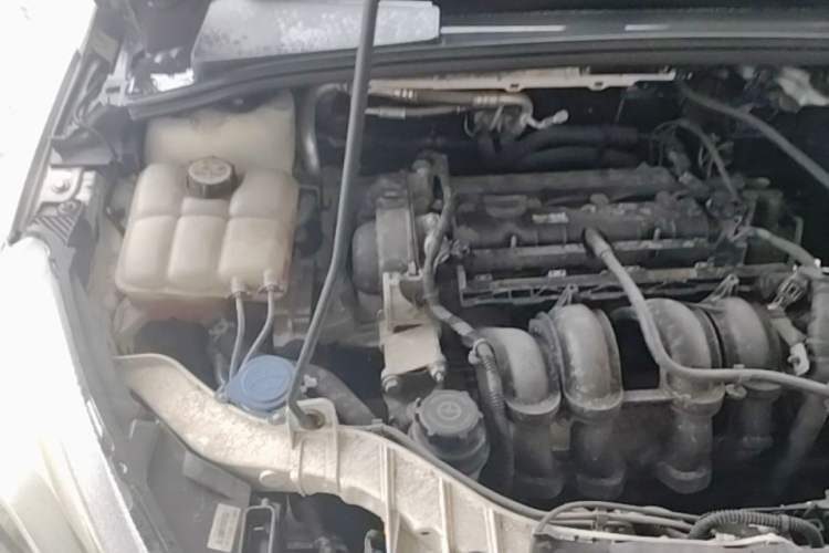 Used Ford Focus 2015 Sedan 1.6L Manual Fashion Edition Engine Bay Right