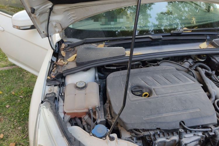 Used Ford Focus 2015 Hatchback EcoBoost 180 Automatic Elite Model Engine Bay Right