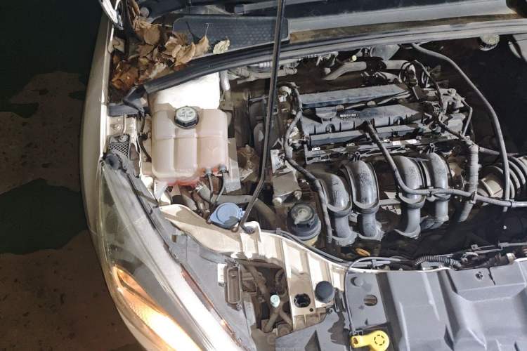 Used Ford Focus 2015 Sedan 1.6L Manual Comfort Model Engine Bay Right