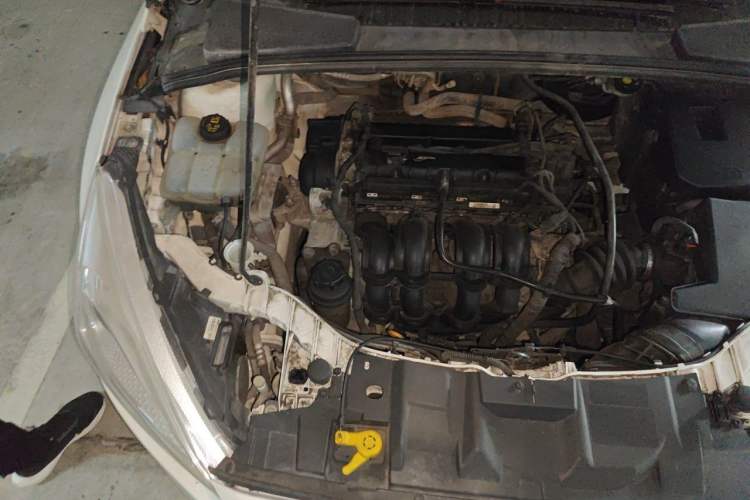Used Ford Focus 2015 Sedan 1.6L Manual Comfort Model Engine Bay Right