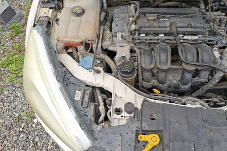 Used Ford Focus 2015 Sedan 1.6L Automatic Trend Model Engine Bay Right