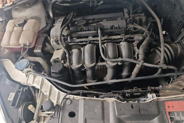 Used Ford Focus 2015 Sedan 1.6L Automatic Trend Model Engine Bay Right