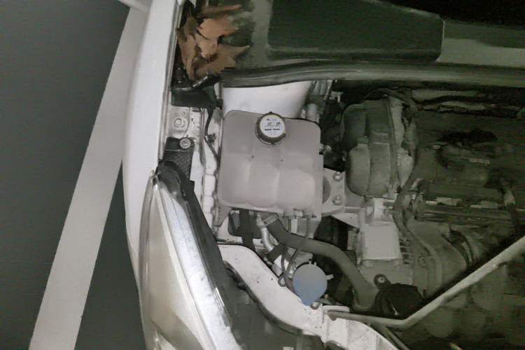 Used Ford Focus 2015 Sedan 1.6L Automatic Trend Model Engine Bay Right