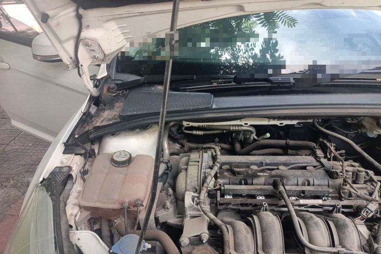 Used Ford Focus 2015 Sedan 1.6L Automatic Trend Model Engine Bay Right