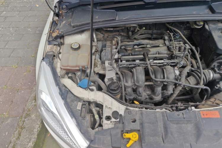 Used Ford Focus 2015 Sedan 1.6L Automatic Trend Model Engine Bay Right