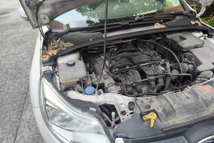 Used Ford Focus 2015 Sedan 1.6L Manual Comfort Model Engine Bay Right