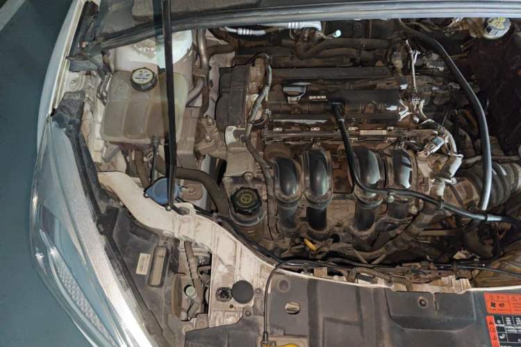 Used Ford Focus 2015 Hatchback 1.6L Automatic Comfort Model Engine Bay Right