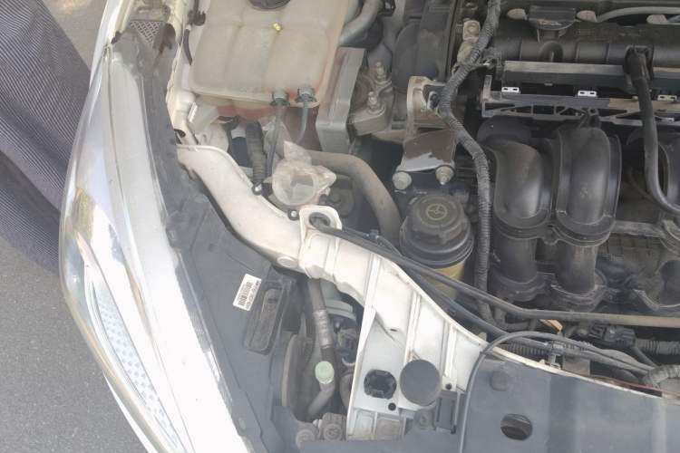Used Ford Focus 2015 Sedan 1.6L Automatic Trend Model Engine Bay Right