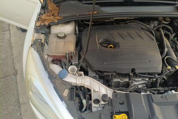 Used Ford Focus 2015 Hatchback EcoBoost 180 Automatic Elite Model Engine Bay Right