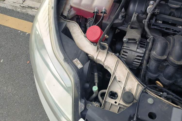 Used Ford Focus 2015 Sedan 1.6L Manual Comfort Model Engine Bay Right