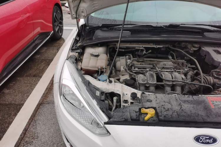 Used Ford Focus 2015 Sedan 1.6L Automatic Trend Model Engine Bay Right