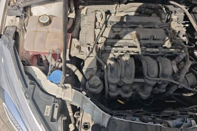 Used Ford Focus 2015 Hatchback 1.6L Manual Fashion Edition Engine Bay Right