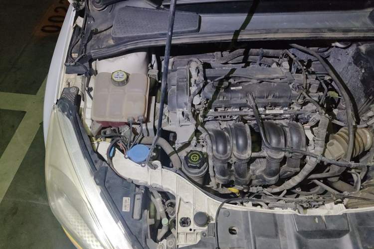 Used Ford Focus 2015 Sedan 1.6L Manual Comfort Model Engine Bay Right