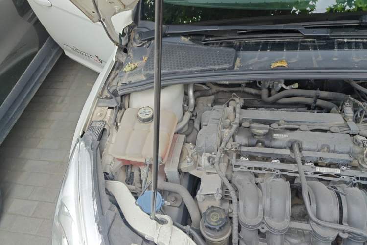 Used Ford Focus 2015 Hatchback 1.6L Automatic Fashion Edition Engine Bay Right