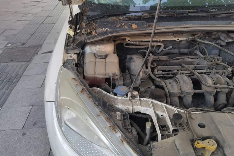 Used Ford Focus 2015 Hatchback 1.6L Automatic Fashion Edition Engine Bay Right