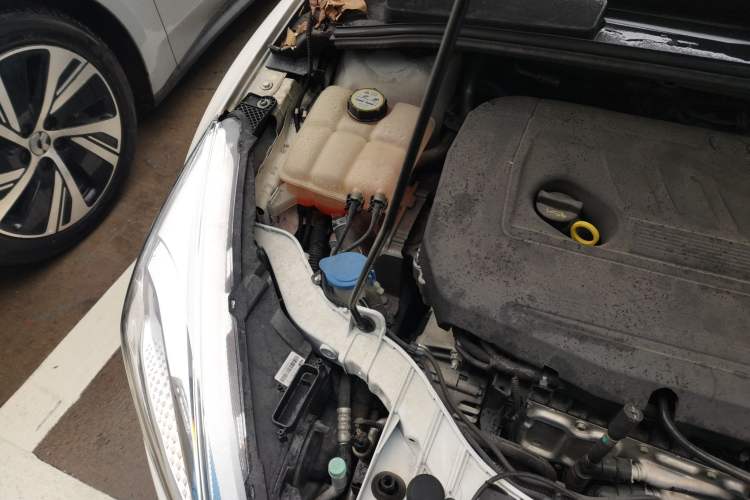Used Ford Focus 2015 Hatchback EcoBoost 180 Automatic Elite Model Engine Bay Right