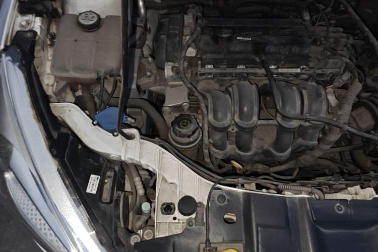 Used Ford Focus 2015 Sedan 1.6L Automatic Trend Model Engine Bay Right