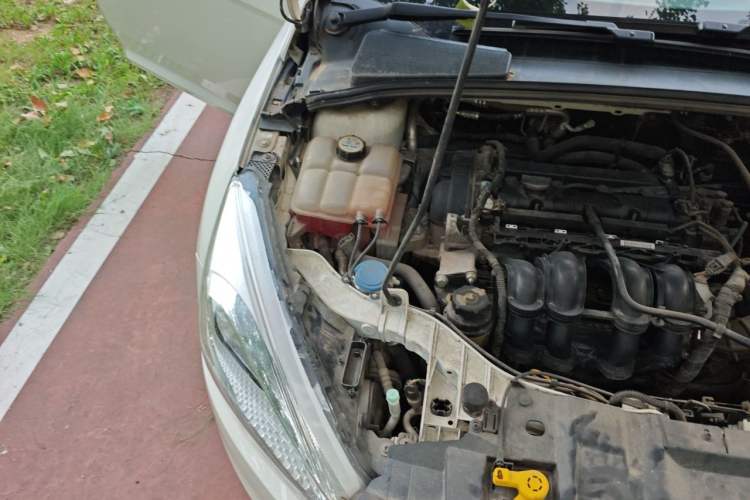 Used Ford Focus 2015 Hatchback 1.6L Manual Fashion Edition Engine Bay Right