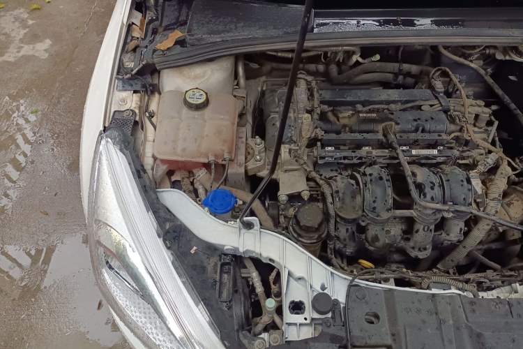 Used Ford Focus 2015 Sedan 1.6L Manual Comfort Model Engine Bay Right