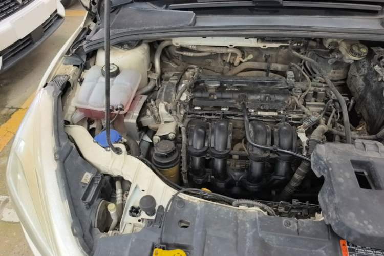 Used Ford Focus 2015 Sedan 1.6L Automatic Trend Model Engine Bay Right