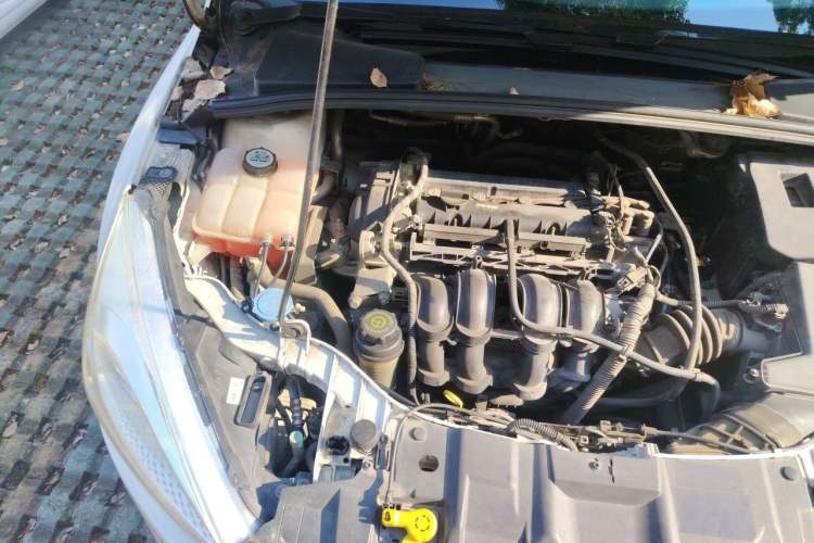 Used Ford Focus 2015 Hatchback 1.6L Automatic Fashion Edition Engine Bay Right