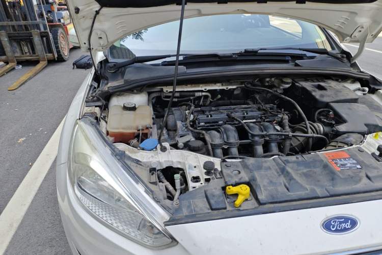 Used Ford Focus 2015 Sedan 1.6L Automatic Trend Model Engine Bay Right