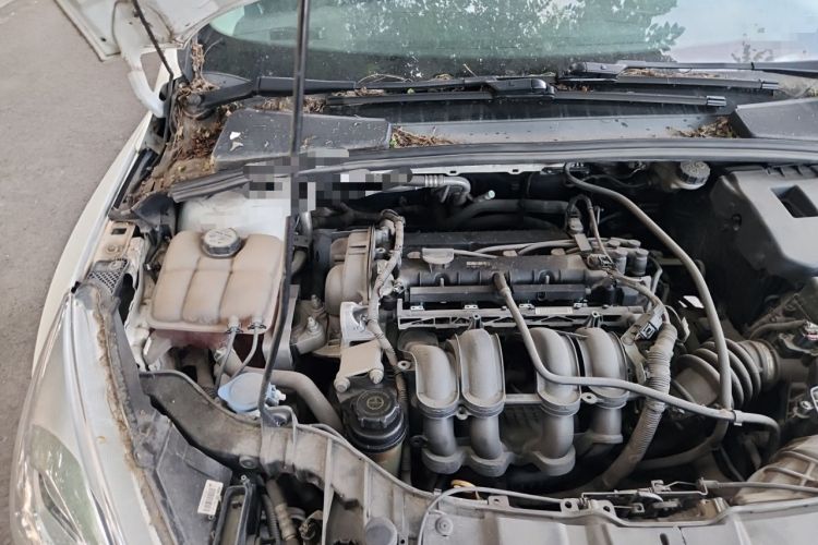 Used Ford Focus 2015 Sedan 1.6L Automatic Trend Model Engine Bay Right