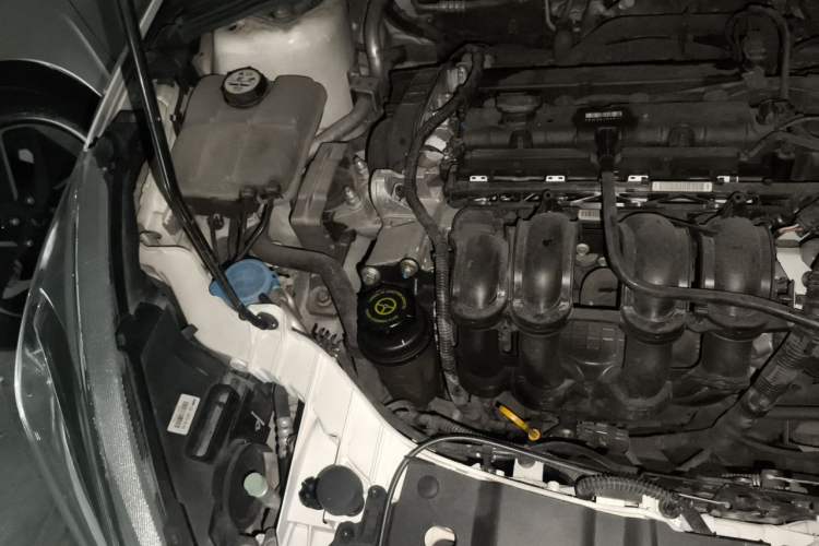 Used Ford Focus 2015 Sedan 1.6L Automatic Trend Model Engine Bay Right