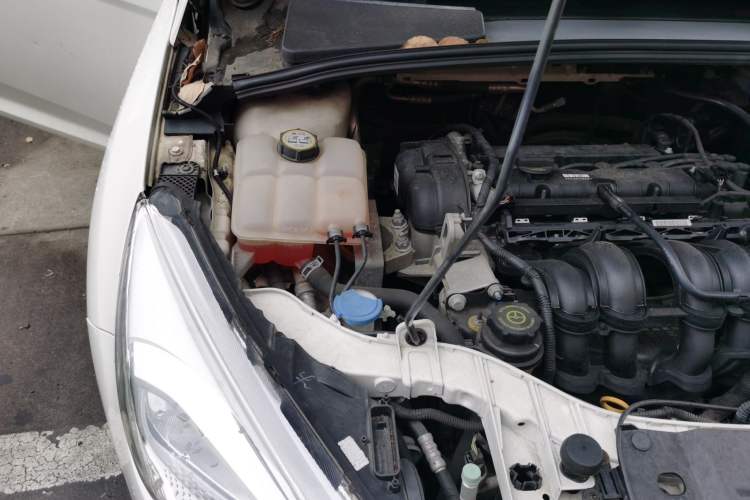 Used Ford Focus 2015 Sedan 1.6L Manual Fashion Edition Engine Bay Right