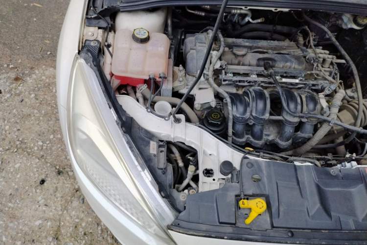 Used Ford Focus 2015 Sedan 1.6L Automatic Trend Model Engine Bay Right