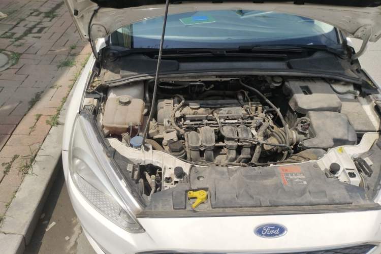 Used Ford Focus 2015 Hatchback 1.6L Automatic Fashion Edition Engine Bay Right