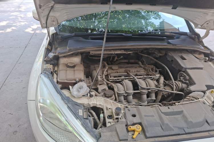 Used Ford Focus 2015 Sedan 1.6L Automatic Trend Model Engine Bay Right