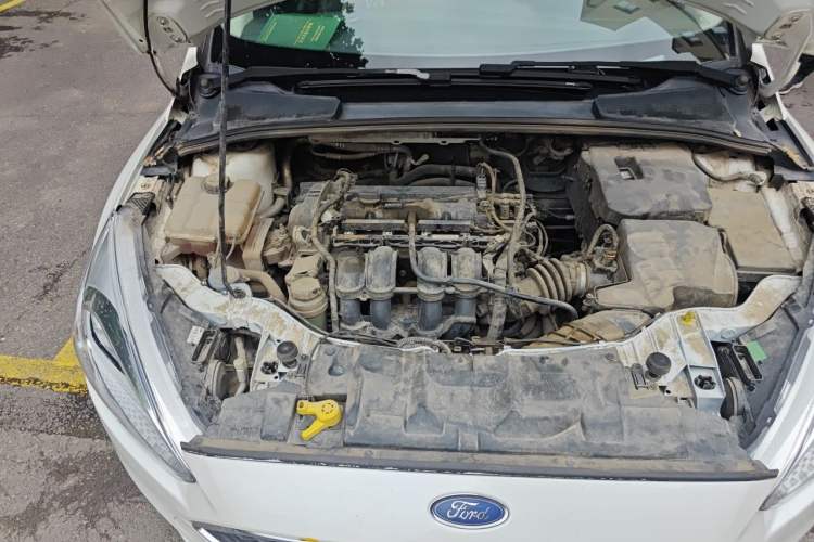 Used Ford Focus 2015 Hatchback 1.6L Manual Fashion Edition Engine Bay Right