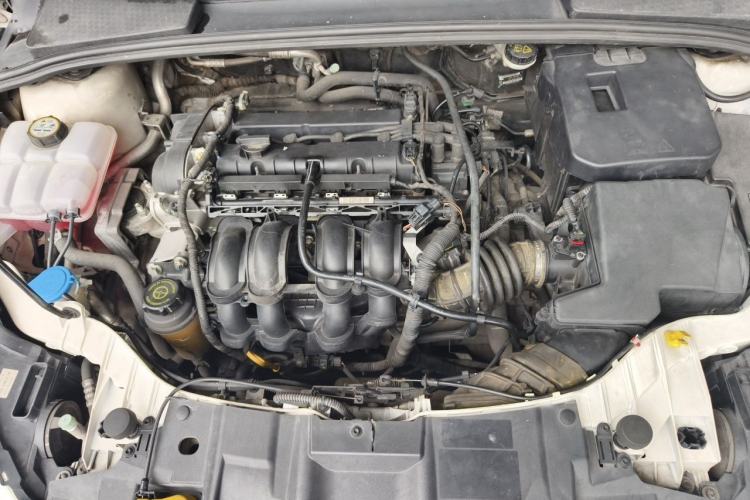 Used Ford Focus 2015 Sedan 1.6L Automatic Trend Model Engine Bay
