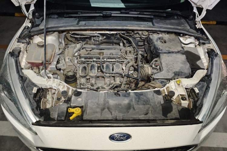 Used Ford Focus 2015 Hatchback 1.6L Automatic Fashion Edition Engine Bay