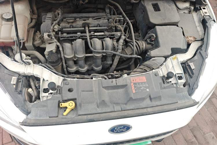 Used Ford Focus 2015 Hatchback 1.6L Automatic Fashion Edition Engine Bay