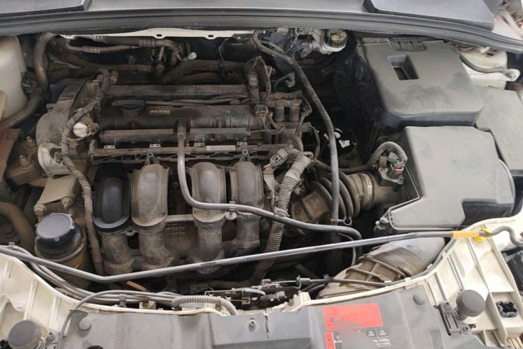 Used Ford Focus 2015 Sedan 1.6L Manual Comfort Model Engine Bay