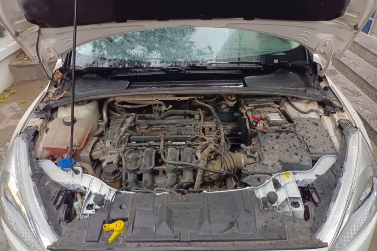 Used Ford Focus 2015 Sedan 1.6L Manual Comfort Model Engine Bay