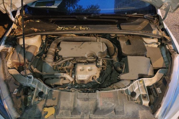 Used Ford Focus 2015 Hatchback EcoBoost 125 Automatic Supreme Style Edition Engine Bay