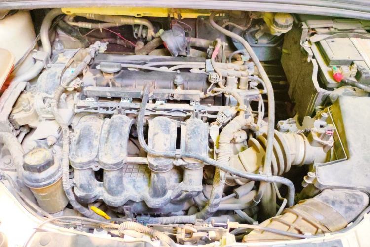 Used Ford Focus 2015 Sedan 1.6L Manual Comfort Model Engine Bay