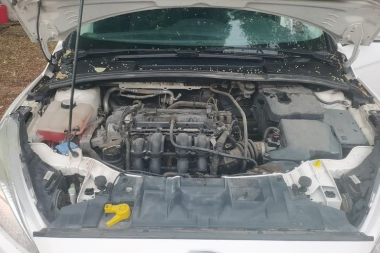 Used Ford Focus 2015 Hatchback 1.6L Manual Comfort Edition Engine Bay