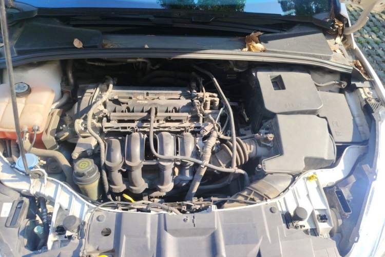 Used Ford Focus 2015 Hatchback 1.6L Automatic Fashion Edition Engine Bay