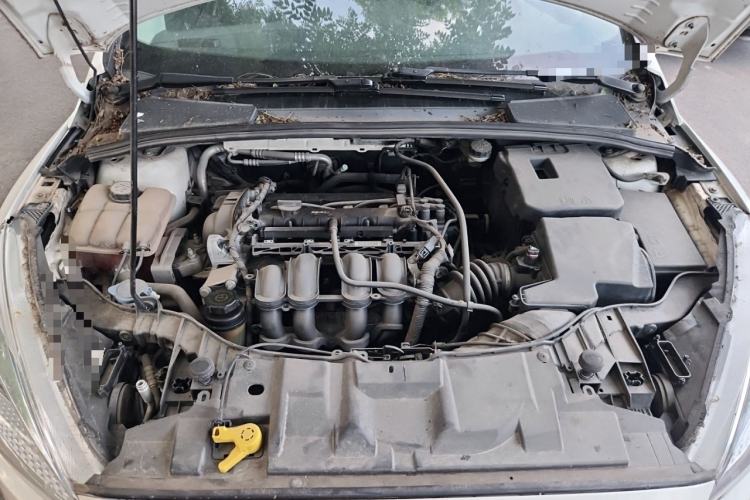 Used Ford Focus 2015 Sedan 1.6L Automatic Trend Model Engine Bay