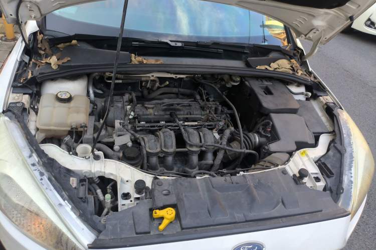 Used Ford Focus 2015 Hatchback 1.6L Automatic Comfort Model Engine Bay