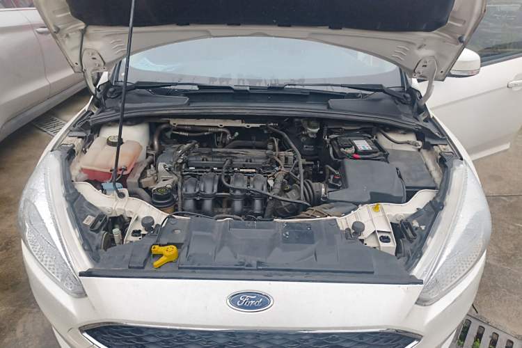 Used Ford Focus 2015 Hatchback 1.6L Automatic Fashion Edition Engine Bay