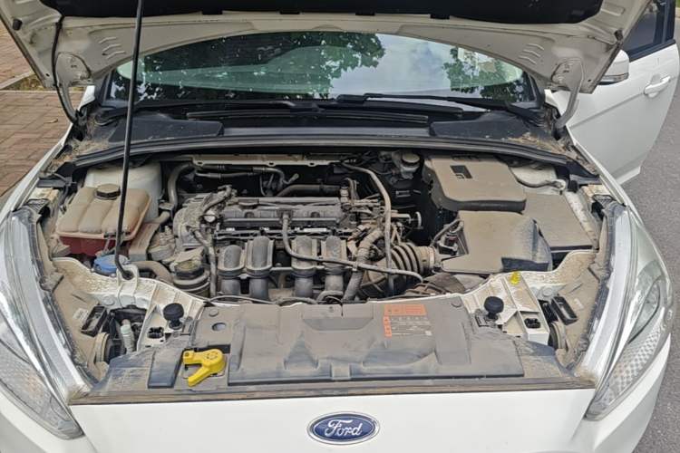 Used Ford Focus 2015 Hatchback 1.6L Automatic Fashion Edition Engine Bay
