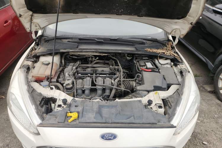 Used Ford Focus 2015 Sedan 1.6L Automatic Trend Model Engine Bay