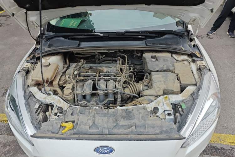 Used Ford Focus 2015 Hatchback 1.6L Manual Fashion Edition Engine Bay