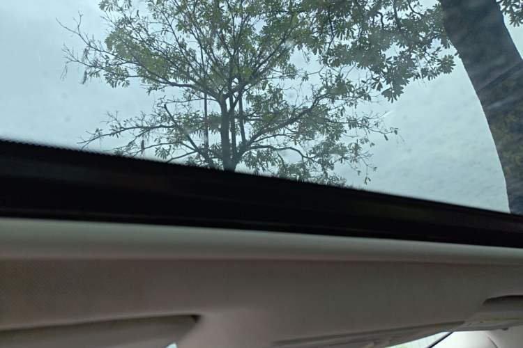 Used Ford Focus 2015 Sedan 1.6L Automatic Trend Model Headliner