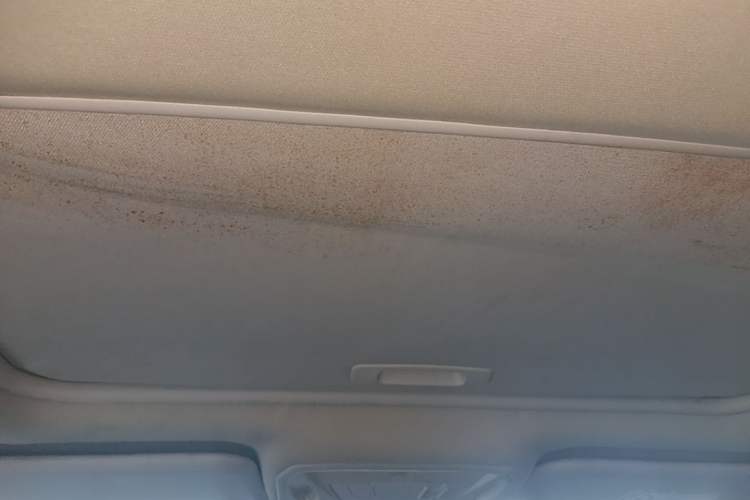 Used Ford Focus 2015 Sedan 1.6L Automatic Trend Model Headliner